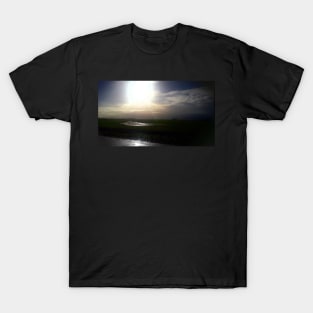 A swan in the sun T-Shirt